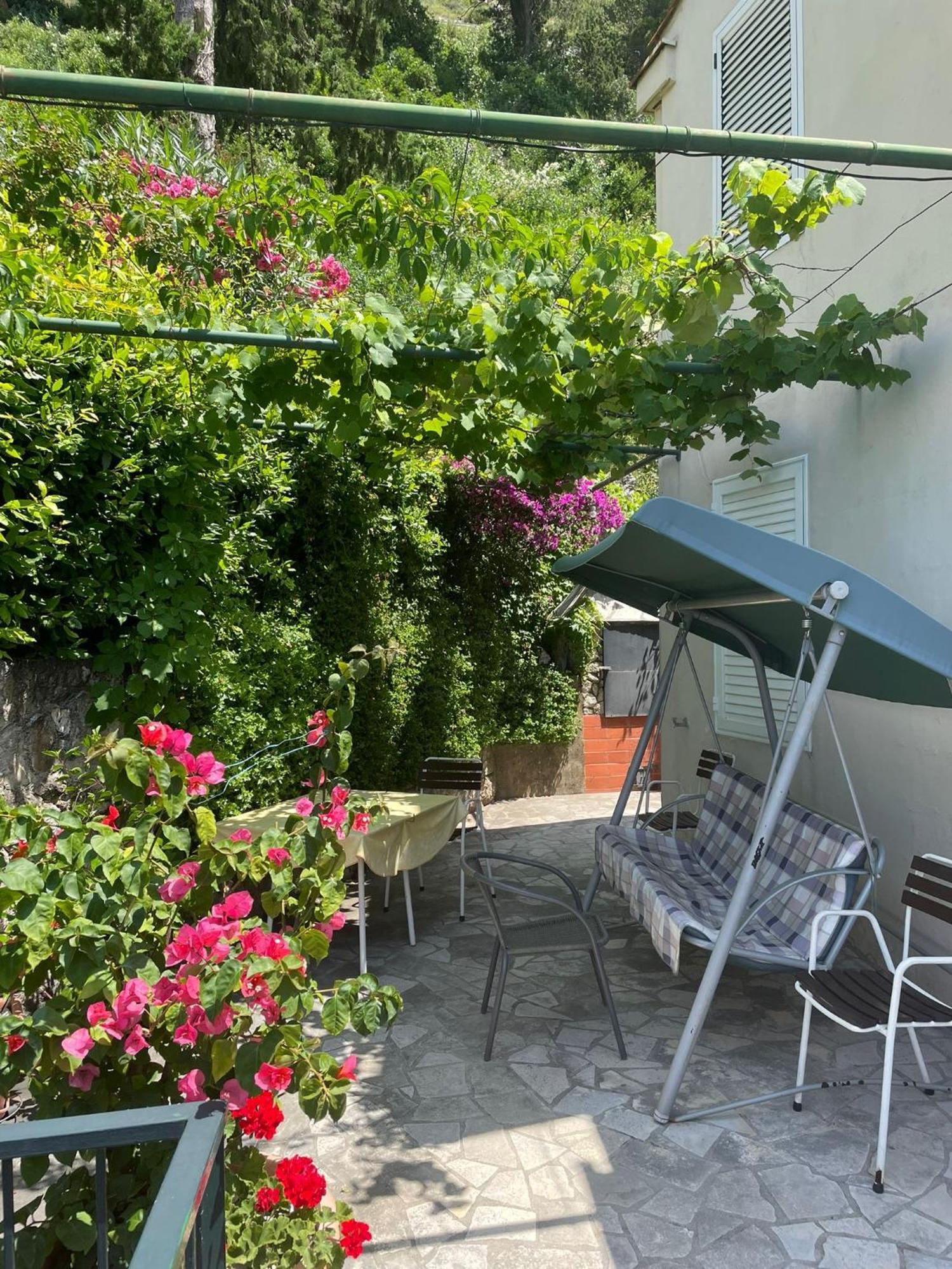 La Casa De Nona - Terrace With Panoramic View Lägenhet Dubrovnik Exteriör bild