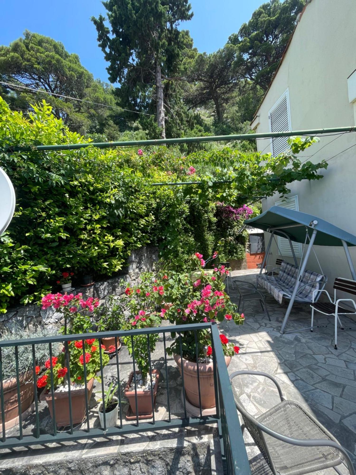 La Casa De Nona - Terrace With Panoramic View Lägenhet Dubrovnik Exteriör bild